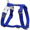 Harnais pour chien - RED DINGO - Bleu - Taille M - 15 mm - Utilisation extérieure