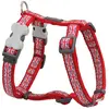 Red Dingo Harnais Reglable Union Jack 37 A 55 Cm X 15 Mm