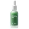 Ere Perez Quandong Green Booster Serum Sérum visage 1000 ml