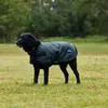 Manteau pour chien impérméable Weatherbeeta Comfitec Classic Vert 60 c...