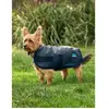 Manteau pour chien impérméable Weatherbeeta Comfitec Classic Vert 35 c...