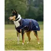 Weatherbeeta Comfitec Premier Deluxe Waterproof Dog Coat 55