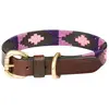 Collier pour chien en cuir Weatherbeeta Polo Marron XS 1001699020