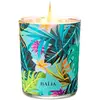 Baïja - Moana - Fleur De Tiaré Bougie Pot 180g