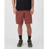 Mons Royale All Mission Cargo Short marron M