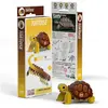 Maquette EUGY 3D - Tortue - Maquette en carton - 5314004 