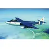 Seahawk Mk.100/101 - 1:48e - Trumpeter