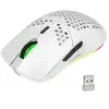 HXSJ T66 RGB 2.4G souris de jeu sans fil RGB éclairage de charge souri...