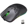 HXSJ T66 RGB 2.4G souris de jeu sans fil RGB éclairage de charge souri...