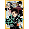 Panini Manga Demon Slayer - Roman jeunesse T01 : Tanjiro & Nezuko l'origine de leur destin