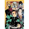 Panini Manga Demon Slayer - Roman jeunesse T02 : Les liens fraternels et les pourfendeurs de démons