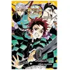 Panini Manga Demon Slayer - Roman jeunesse T04