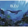 La Martiniere Jeunesse Bleu cartonné