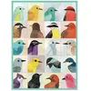 Galison 1000 Piece Puzzle: Avian Friends