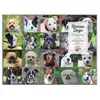 Galison PUZZLE - 1000 PIECE: RESCUE DOGS