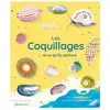 Phaidon Les coquillages et ce qu'ils cachent