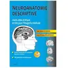 Elsevier Masson Neuroanatomie descriptive