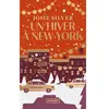 Un hiver à New York Poche