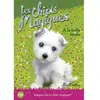 Pocket Jeunesse Les chiots magiques. Vol. 6. A la belle étoile Sue Bentley