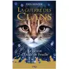Pocket Jeunesse Guerre des Clans HS - tome 7 Le destin d'Etoile de Feuille