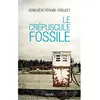 Stock Le crépuscule fossile Geneviève Férone
