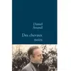 Stock Des chevaux noirs