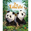 LITO En liberté Lilas Nord, André Boos