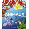 Lito La Couleur Des Animaux