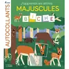 Lito Aut apprends lettres maj-foret