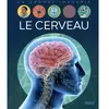 Fleurus Le cerveau