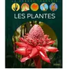 Fleurus Les plantes