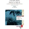 Lgf Pauca Meae, livre IV des contemplations - dossier thématique: le deuil