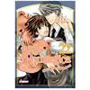 Crunchyroll Kaze Junjo Romantica T22