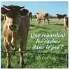 Thierry Magnier Eds Que regardent les vaches dans le pré ?