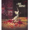 SARBACANE Le Bois Dormait