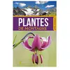 Artemis Eds Plantes de montagne collectif