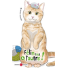 Bamboo Eds Félin pour l'autre ! - vol. 04