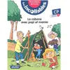 Play Bac Eds Les Incollables - Tome 14 - Une Cabane Pour Luka Et Zoé ! - Cp Niveau 1