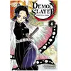 Panini Manga Demon Slayer Tome 6