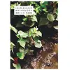 Kana Eds Inio Asano Anthology