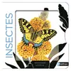 Livres enfant : Nathan Insectes