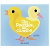 Flammarion Jeunesse Pere Castor Un poussin, un caneton