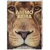 ANIMO RAMA INCROYABLE SAVANE (donnée non spécifiée)