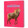 Les animaux de la montagne