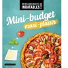 Mini-budget maxi plaisir broché