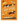 Giboulées A Toute Vitesse !