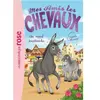 Hachette Jeunesse Mes amis les chevaux Tome 4