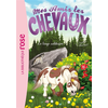 Hachette Mes amis les chevaux Tome VIII : Le loup solitaire - Collectif - Livre .