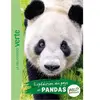 Bb Rose Verte Wild Immersion 08 - Expédition au pays des pandas