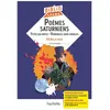 Hachette Education Poèmes saturniens, fêtes galantes, romances sans paroles (Verlaine)